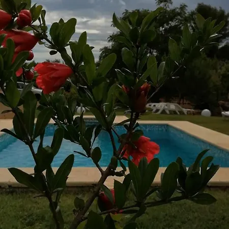 Abate Holiday home